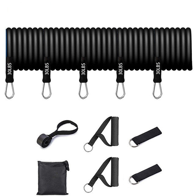 Portable Home Gym Exercise Band